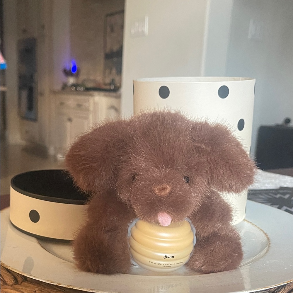 Toffee Gisou Honey Pup